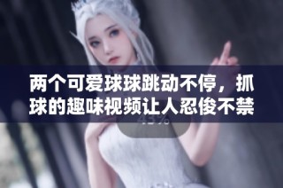 两个可爱球球跳动不停，抓球的趣味视频让人忍俊不禁