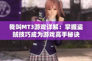 我叫MT3游戏详解：掌握盗贼技巧成为游戏高手秘诀