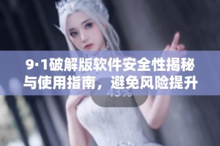 9·1破解版软件安全性揭秘与使用指南，避免风险提升体验