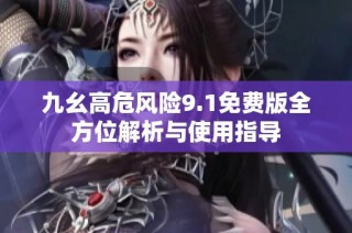 九幺高危风险9.1免费版全方位解析与使用指导