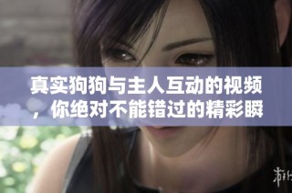 真实狗狗与主人互动的视频，你绝对不能错过的精彩瞬间