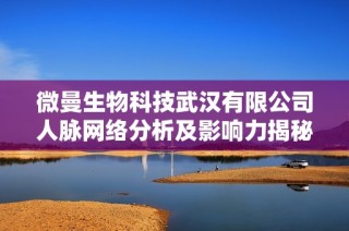 微曼生物科技武汉有限公司人脉网络分析及影响力揭秘