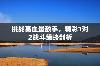 挑战高血量敌手，精彩1对2战斗策略剖析