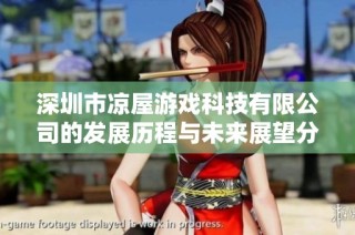 深圳市凉屋游戏科技有限公司的发展历程与未来展望分析