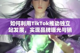 如何利用TikTok推动独立站发展，实现品牌曝光与销售增长