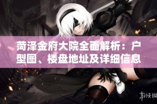 菏泽金府大院全面解析：户型图、楼盘地址及详细信息一览