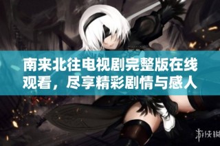 南来北往电视剧完整版在线观看，尽享精彩剧情与感人故事