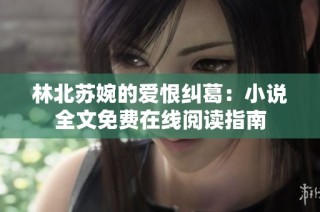 林北苏婉的爱恨纠葛：小说全文免费在线阅读指南