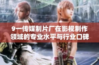 9一传媒制片厂在影视制作领域的专业水平与行业口碑解析