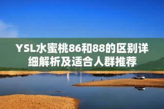 YSL水蜜桃86和88的区别详细解析及适合人群推荐