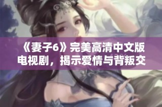 《妻子6》完美高清中文版电视剧，揭示爱情与背叛交织的复杂故事