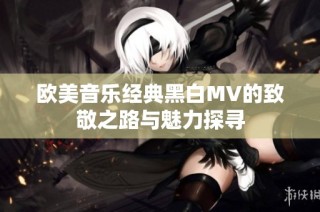 欧美音乐经典黑白MV的致敬之路与魅力探寻
