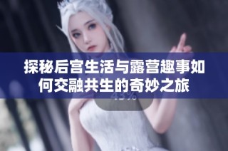 探秘后宫生活与露营趣事如何交融共生的奇妙之旅