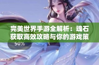 完美世界手游全解析：魂石获取高效攻略与你的游戏策略分享