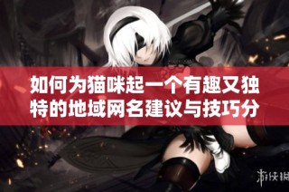 如何为猫咪起一个有趣又独特的地域网名建议与技巧分享