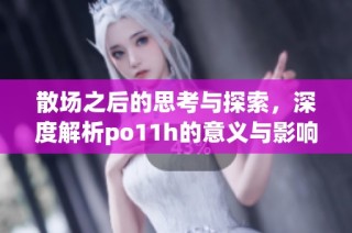 散场之后的思考与探索，深度解析po11h的意义与影响