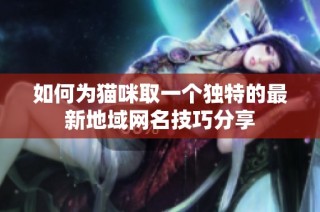 如何为猫咪取一个独特的最新地域网名技巧分享