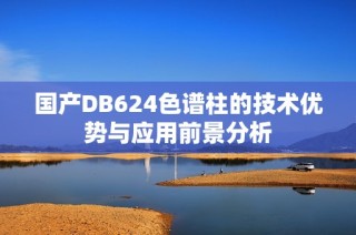 国产DB624色谱柱的技术优势与应用前景分析