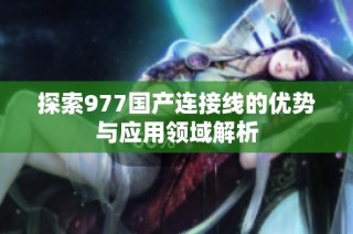 探索977国产连接线的优势与应用领域解析