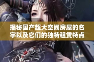 揭秘国产超大空间房屋的名字以及它们的独特租赁特点和优势分析