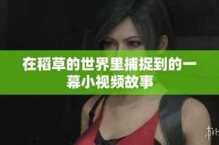 在稻草的世界里捕捉到的一幕小视频故事