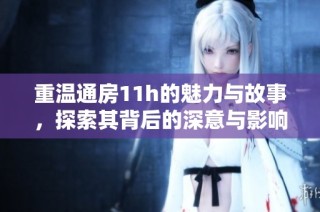 重温通房11h的魅力与故事，探索其背后的深意与影响