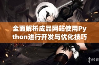全面解析成品网站使用Python进行开发与优化技巧