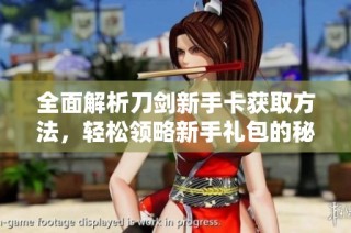 全面解析刀剑新手卡获取方法，轻松领略新手礼包的秘密