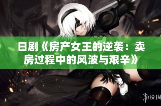 日剧《房产女王的逆袭：卖房过程中的风波与艰辛》