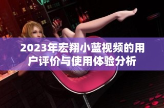 2023年宏翔小蓝视频的用户评价与使用体验分析