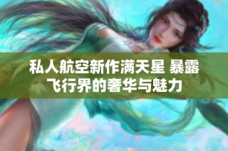 私人航空新作满天星 暴露飞行界的奢华与魅力