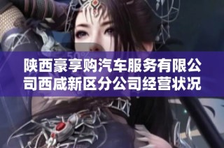 陕西豪享购汽车服务有限公司西咸新区分公司经营状况及发展前景分析