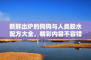 新鲜出炉的狗狗与人类胶水配方大全，精彩内容不容错过