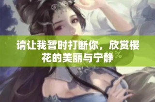 请让我暂时打断你，欣赏樱花的美丽与宁静