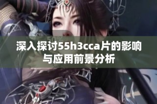 深入探讨55h3cca片的影响与应用前景分析