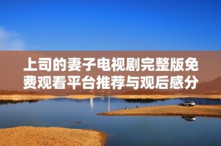 上司的妻子电视剧完整版免费观看平台推荐与观后感分享