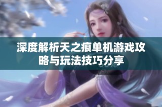 深度解析天之痕单机游戏攻略与玩法技巧分享