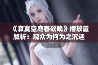 《寂寞空庭春欲晚》播放量解析：观众为何为之沉迷