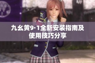 九幺黄9·1全新安装指南及使用技巧分享