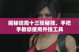 揭秘哈局十三张秘技，手把手教你使用外挂工具