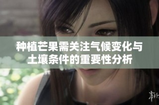 种植芒果需关注气候变化与土壤条件的重要性分析