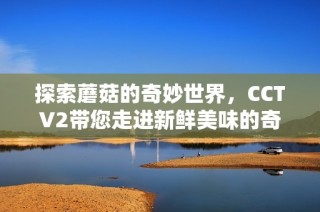 探索蘑菇的奇妙世界，CCTV2带您走进新鲜美味的奇幻之旅