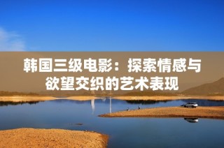 韩国三级电影：探索情感与欲望交织的艺术表现