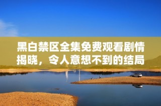 黑白禁区全集免费观看剧情揭晓，令人意想不到的结局详解