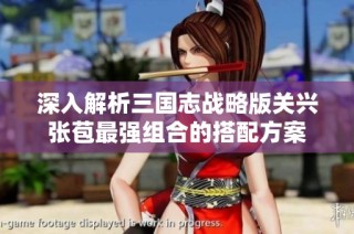 深入解析三国志战略版关兴张苞最强组合的搭配方案