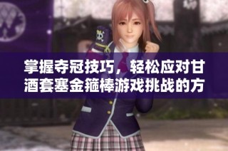 掌握夺冠技巧，轻松应对甘酒套塞金箍棒游戏挑战的方法分享