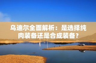 乌迪尔全面解析：是选择纯肉装备还是合成装备？