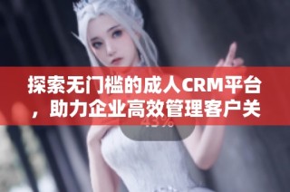 探索无门槛的成人CRM平台，助力企业高效管理客户关系