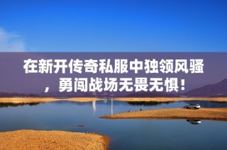 在新开传奇私服中独领风骚，勇闯战场无畏无惧！