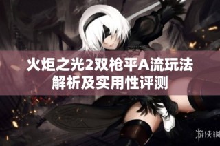 火炬之光2双枪平A流玩法解析及实用性评测